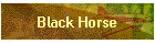 Black Horse