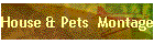 House & Pets Montage