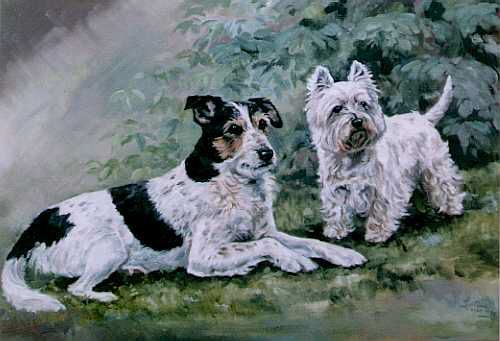 Highland Terrier