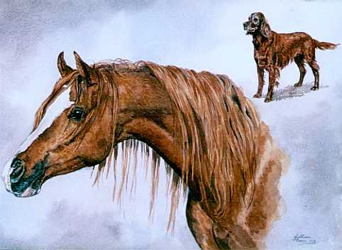 Horse and Irish Setter