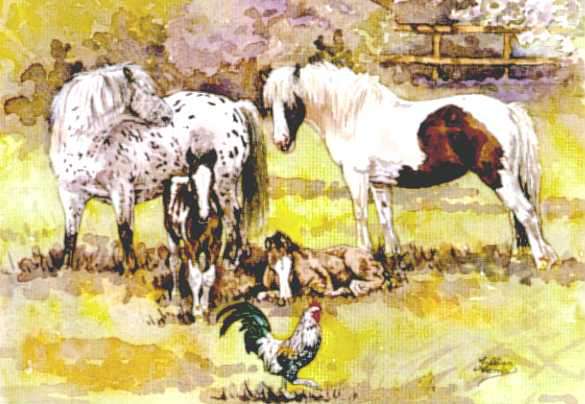 Horses and Farmyard