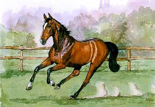 Galloping Horse