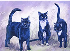 Watercolours Painting of  Ron & Bennie Paxton Cats 