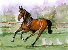Watercolours Painting of horse galloping 