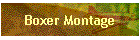 Boxer Montage