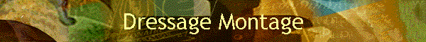 Dressage Montage