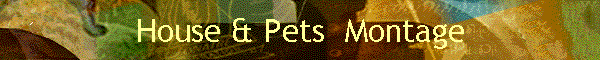 House & Pets Montage