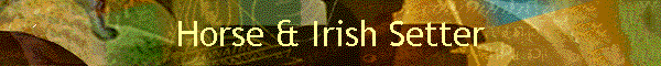 Horse & Irish Setter