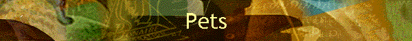 Pets