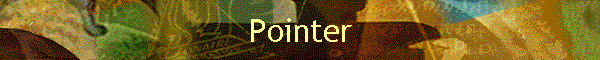 Pointer