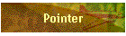 Pointer