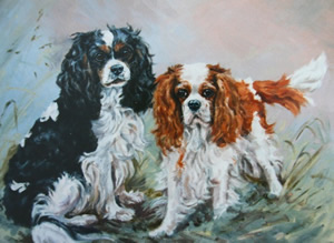 Flint - Animal Portrait
