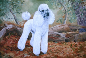 Flint - Animal Portrait