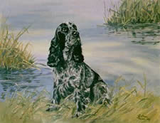 pet artists