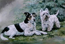 Animal Artist