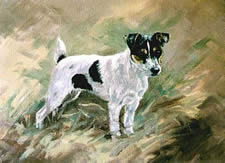 animal artist