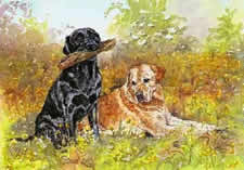 pet artist