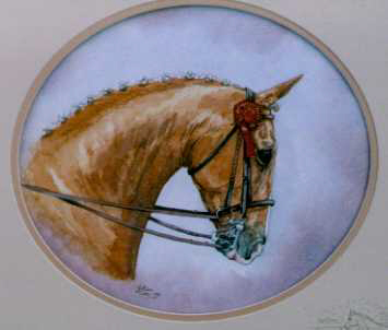 Horses Head 