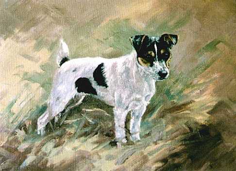Jack Russell